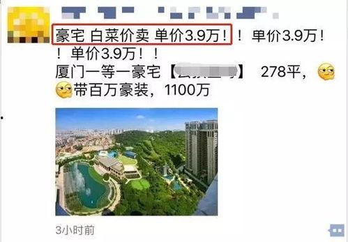 厦门楼市 爆料最新消息,揭秘热点区域价格走势与政策动向 第1张 厦门楼市 爆料最新消息,揭秘热点区域价格走势与政策动向 第1张